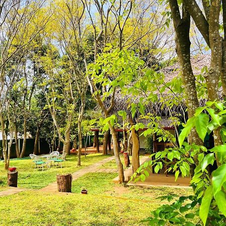 Kingfisher Resort Sigiriya Luaran gambar