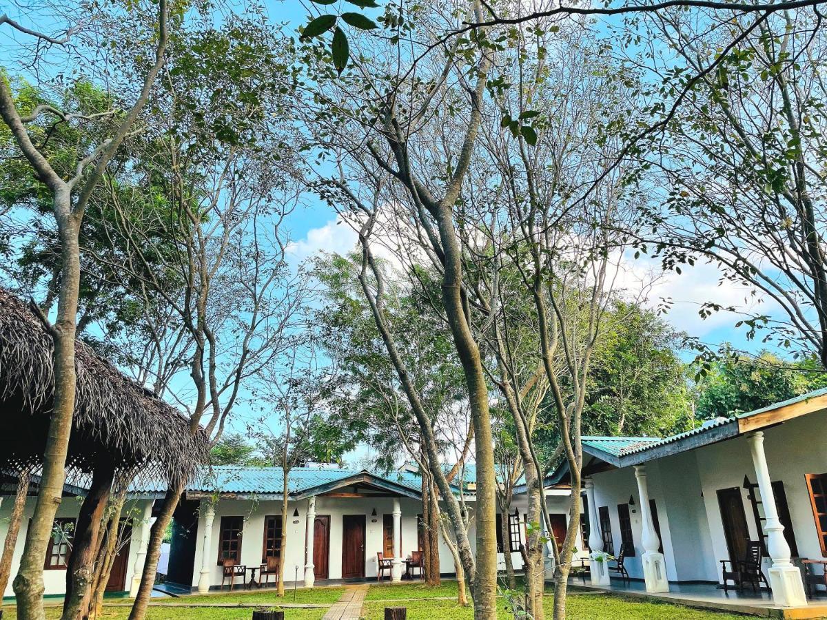 Kingfisher Resort Sigiriya Luaran gambar