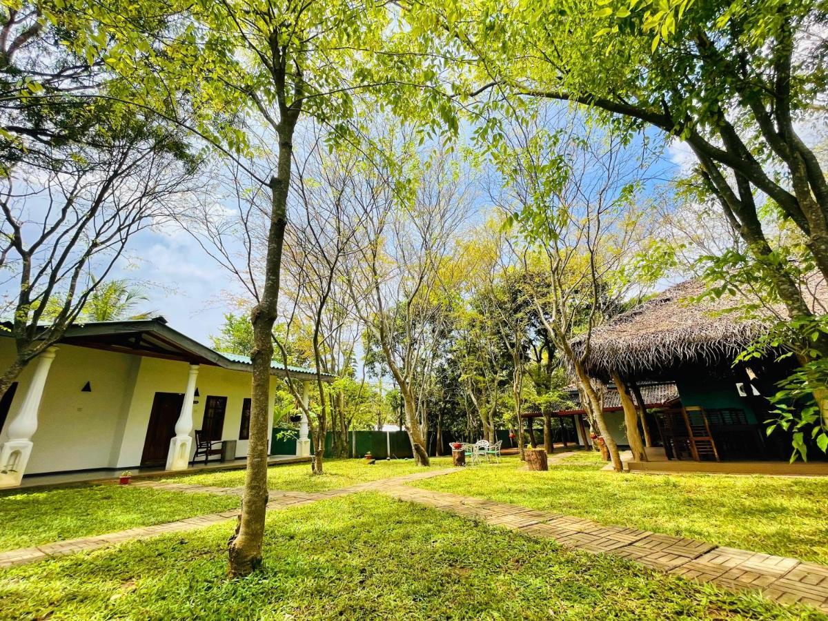 Kingfisher Resort Sigiriya Luaran gambar