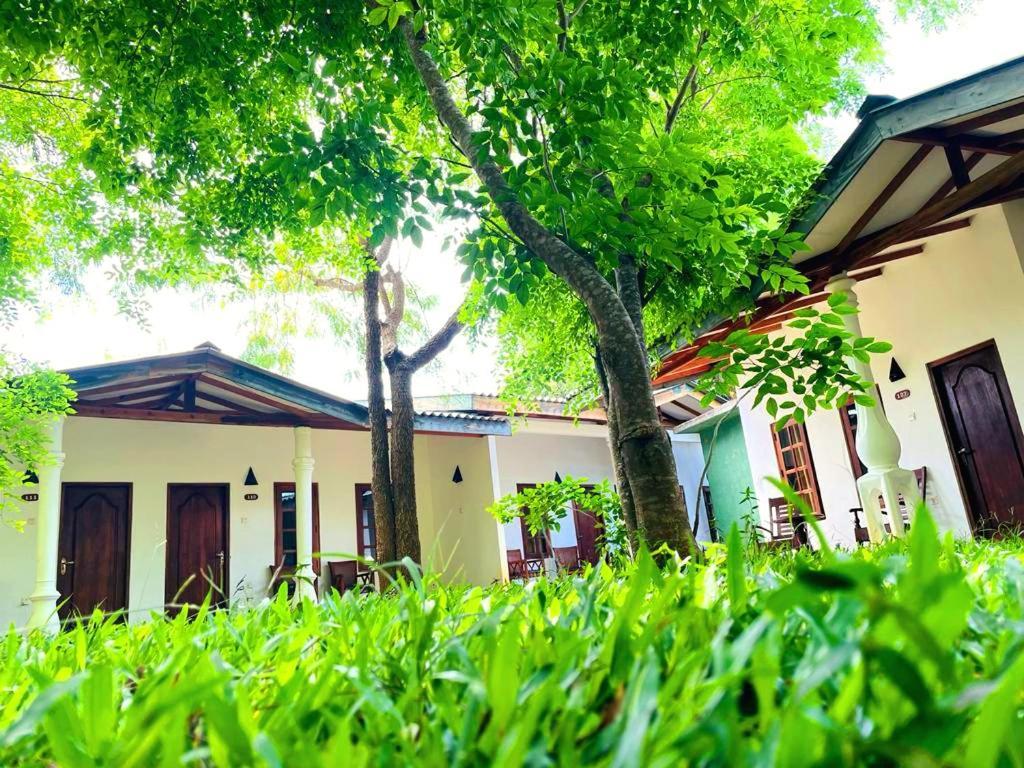Kingfisher Resort Sigiriya Luaran gambar